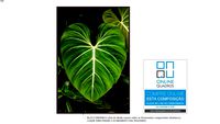 Quadro Vertical folhagem