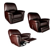 Ariel with Recliner