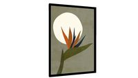 Quadro FLOWER IN THE MOONLIGHT - Galeria9, por My Favorite Arts