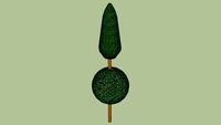 Egg and Dart Boxwood Topiary