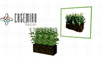 BLOCO DE EUCALIPTO ARJ-834 - CASEMIRO DECOR