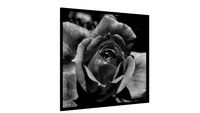 Quadro Tarde no rosedal (PB) - Galeria9, por Martiniano Ferraz