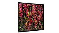 Quadro Natureza surpreendente - Galeria9, por Martiniano Ferraz