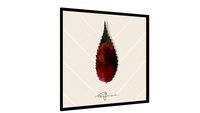 Quadro Autune - Galeria9, por All Leafman