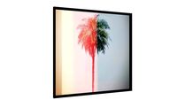 Quadro Coqueiro Retrô - Galeria9, por Teresa de Barros