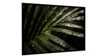 Quadro Folhas umidas - Galeria9, por Dannalone
