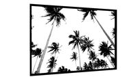 Quadro COQUEIROS P&B 2 - Galeria9, por Galeria Jonathan B.