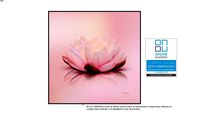 Quadro decorativo Flor De Lotus Rosé