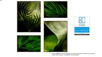 conjunto de 4 quadros folhagens verdes
