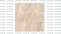 5004311 Arenito 100x100