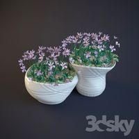 2 flower beds