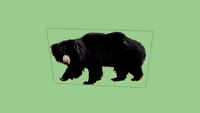 2d_sloth_bear_walking_pose