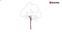 Copy of Plants_Trees-2D_Sketch-Tree8 by SketchUp revised by Katya