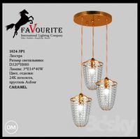 Favourite 1025-3P1