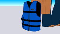 life vest/jacket