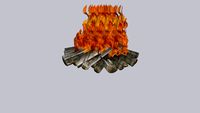 fuego leña fogata cpfm