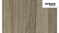 CARVALHO LEGGERO - ARAUCO
