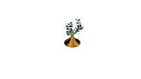 LIGNE ROSET - KASCHKASCH - Vase - Brass