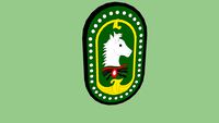 SINJAI logo