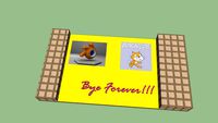 BYE FOREVER !!!!