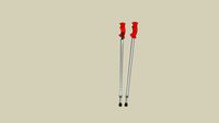 nordic walkin stick
