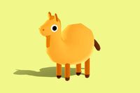 Camel - Quirky Series