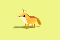 Coyote - Quirky Series