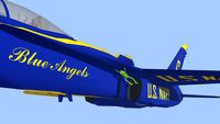 Froggy hanging off the wing of a Blue Angels jet.