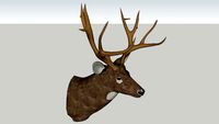 Deer Head