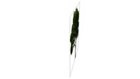 arbre projet mao