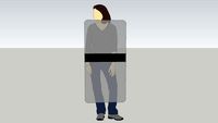 Riot shield