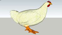 chicken