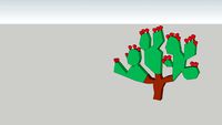 Cactus, Opuntia