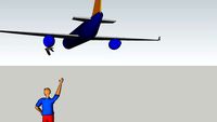 airplane; bird; man