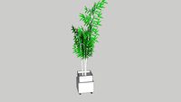 bambu cachepot