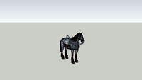 Cheval