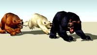 World of Warcraft - Pet/Bear