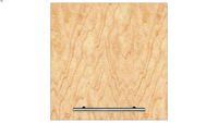 Wall Single Door 15H