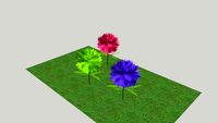 flowers
