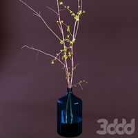 branch