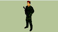 soldado militar sedena ejercito mexicano
