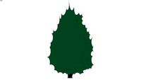 2D medora juniper shrub
