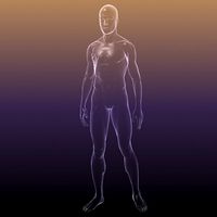 Human body - shape of a Male3d model