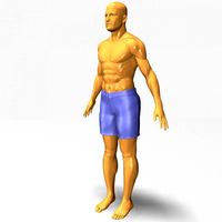 Athletic Male3d model