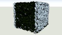 bush