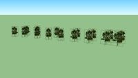 tree green belt