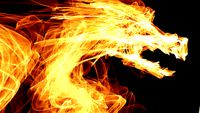 vuur draak - flame dragon