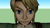 Link (Zelda: Twilight Princess)