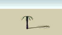 palm tree