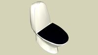 Toilet (Non-CGM)